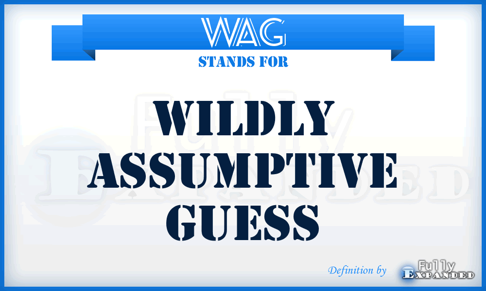 WAG - Wildly Assumptive Guess