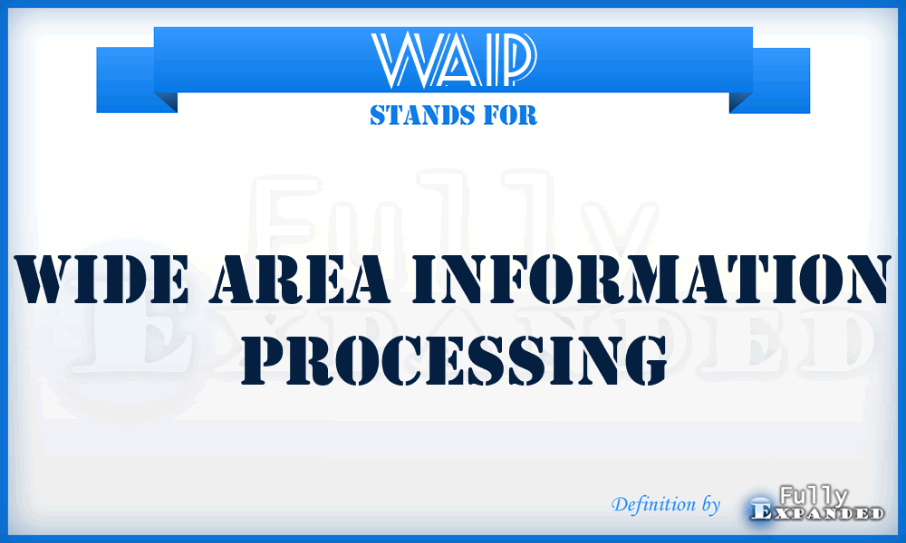 WAIP - Wide Area Information Processing