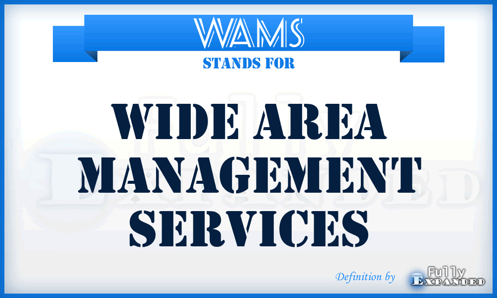 WAMS - Wide Area Management Services