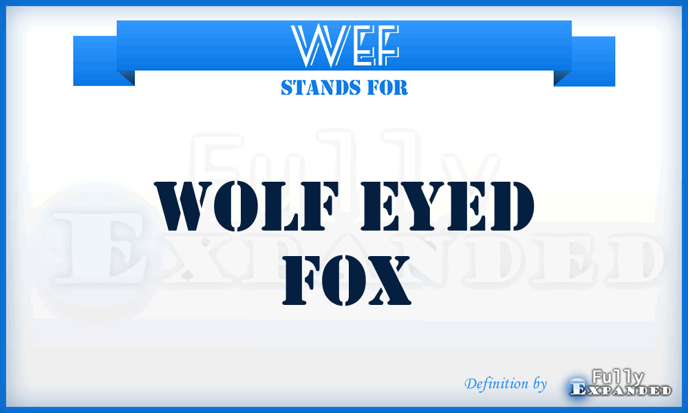 WEF - Wolf Eyed Fox