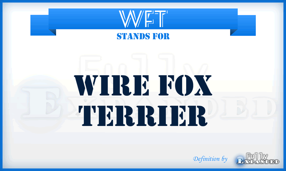 WFT - Wire Fox Terrier