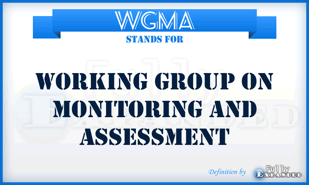 WGMA - Working Group on Monitoring and Assessment