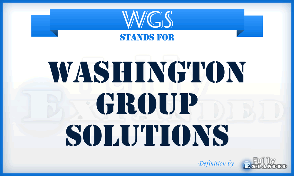 WGS - Washington Group Solutions