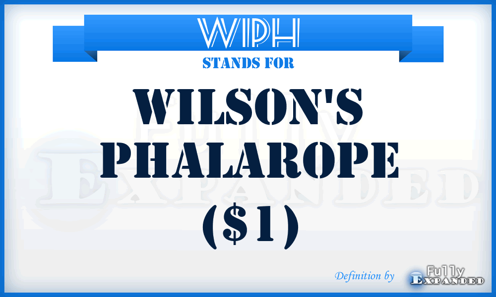 WIPH - Wilson's Phalarope ($1)