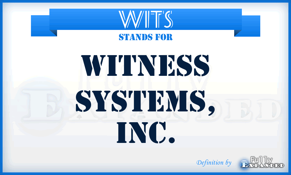 WITS - Witness Systems, Inc.