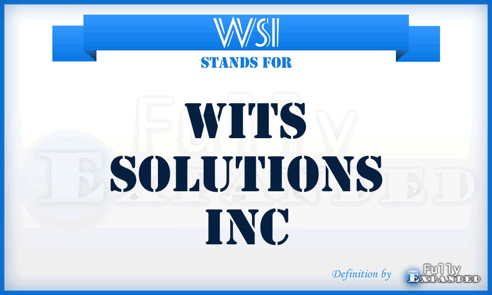 WSI - Wits Solutions Inc