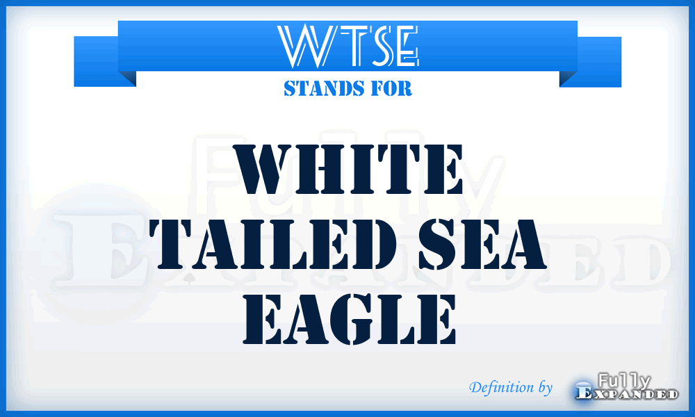 WTSE - White Tailed Sea Eagle