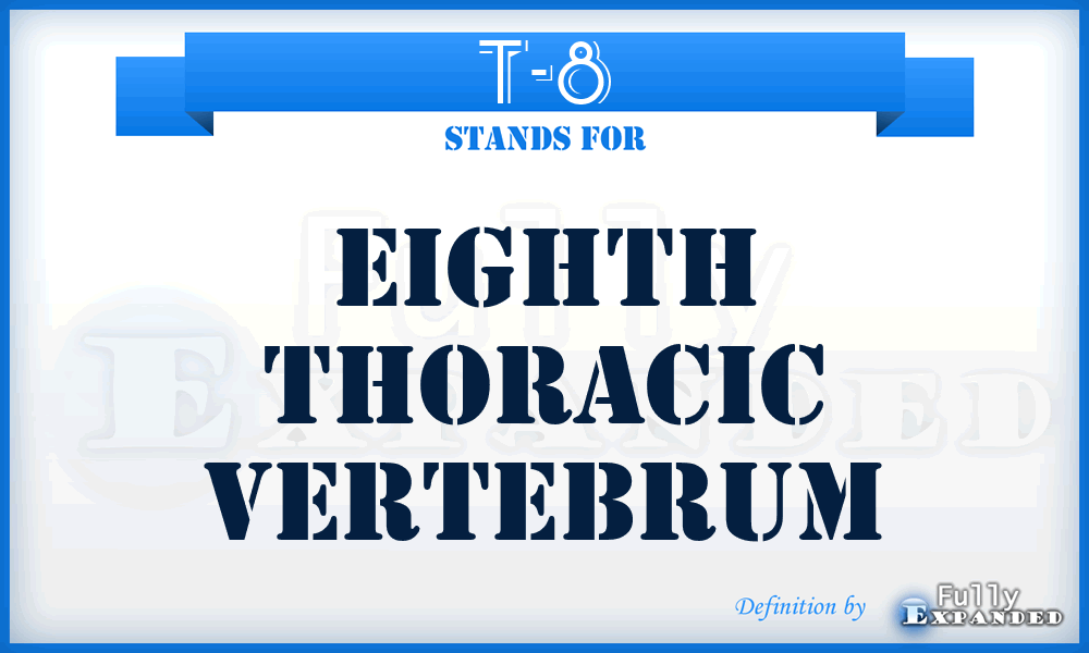 T-8 - eighth thoracic vertebrum