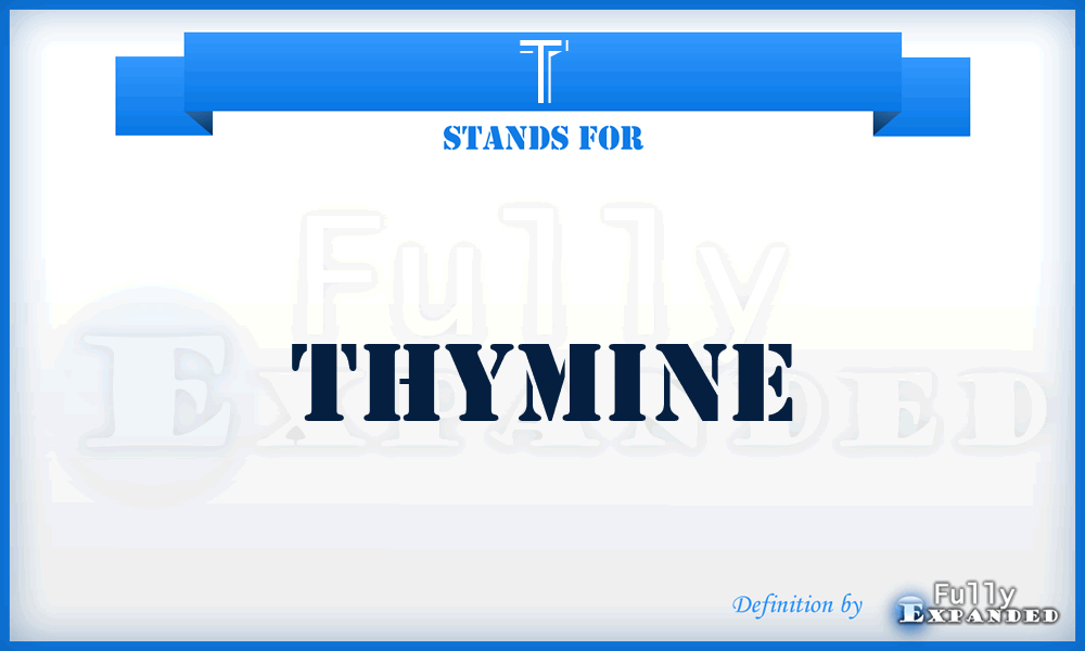 T - Thymine