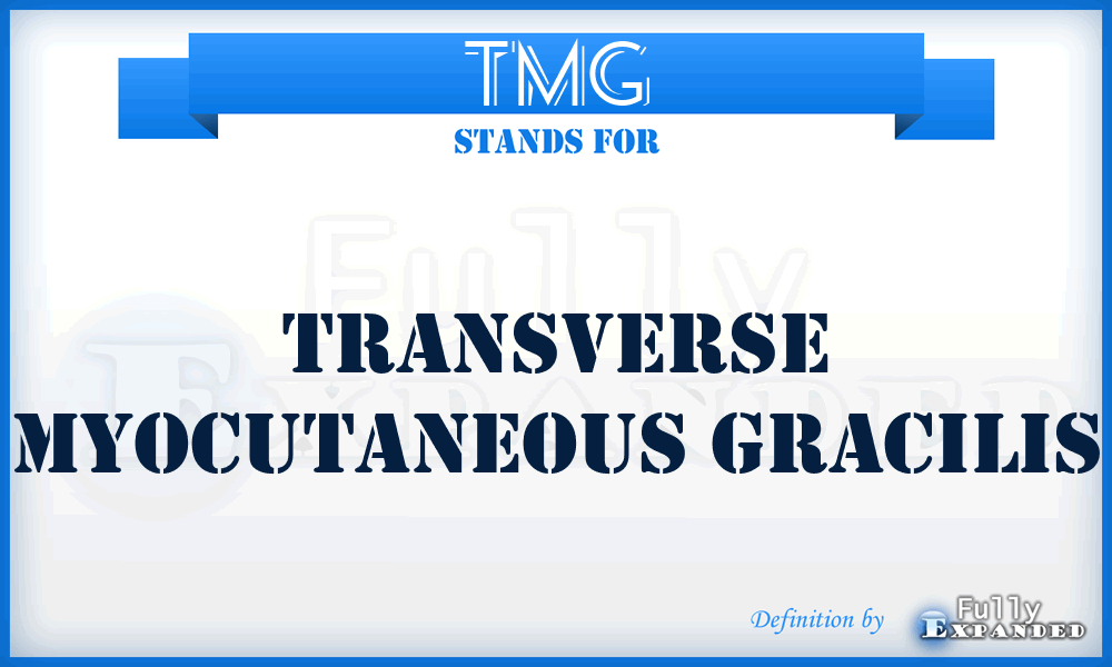 TMG - transverse myocutaneous gracilis