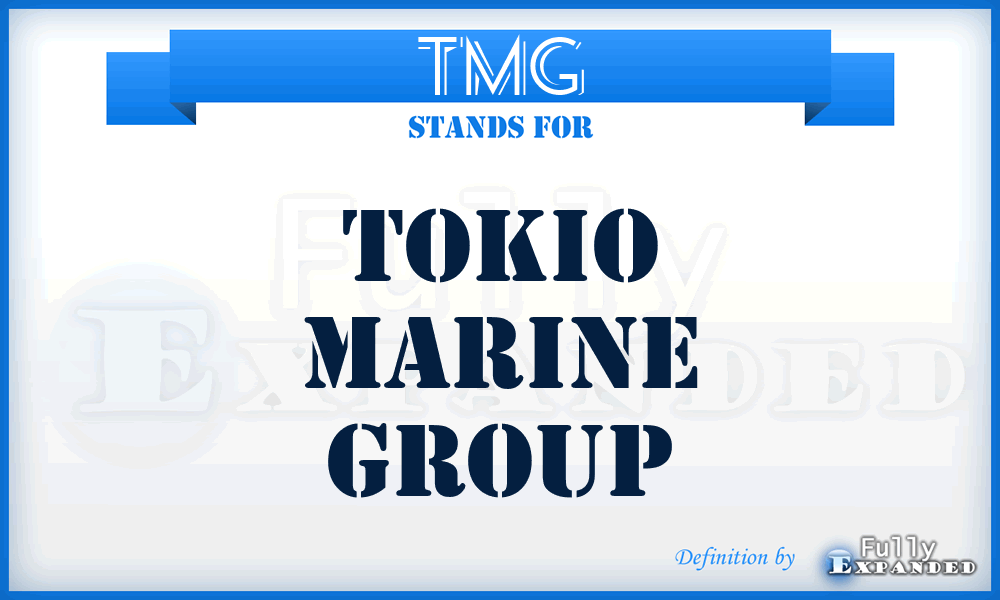 TMG - Tokio Marine Group