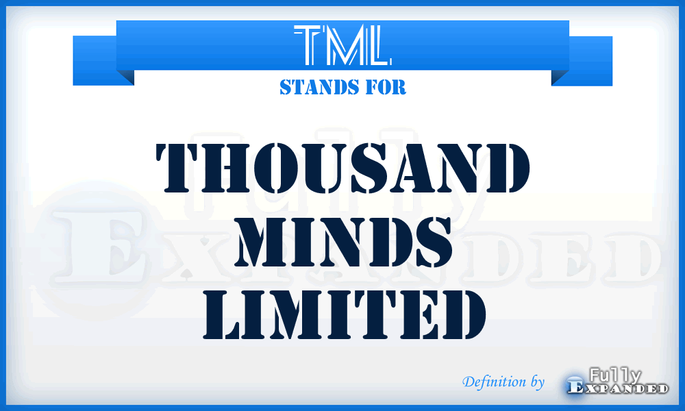 TML - Thousand Minds Limited