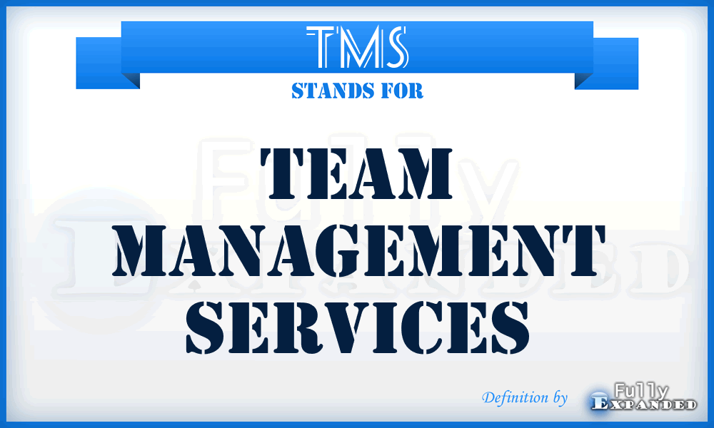 TMS - Team Management Services