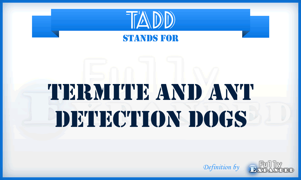 TADD - termite and ant detection dogs