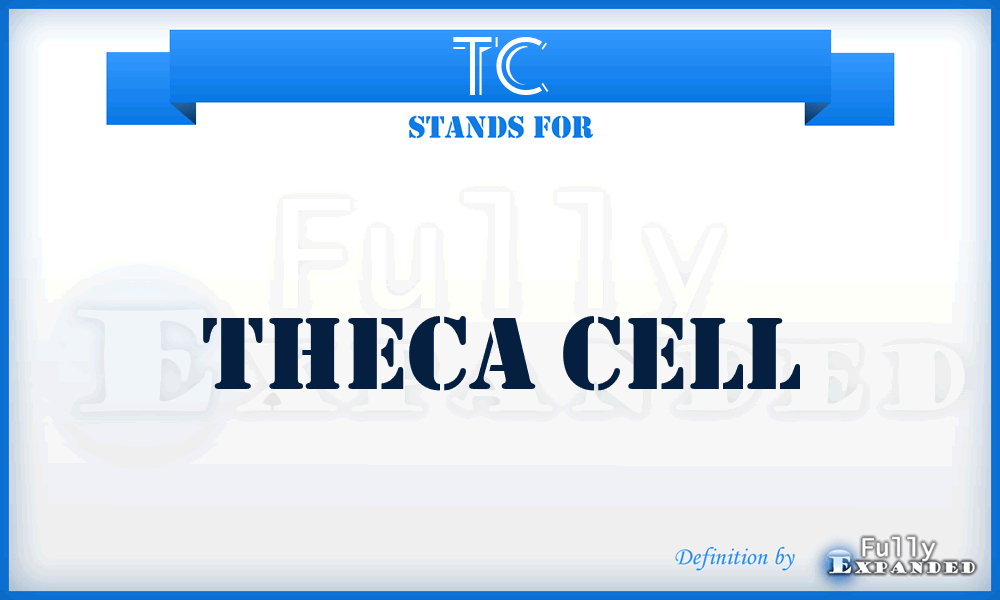 TC - theca cell