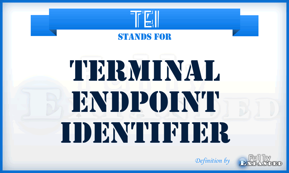 TEI - terminal endpoint identifier