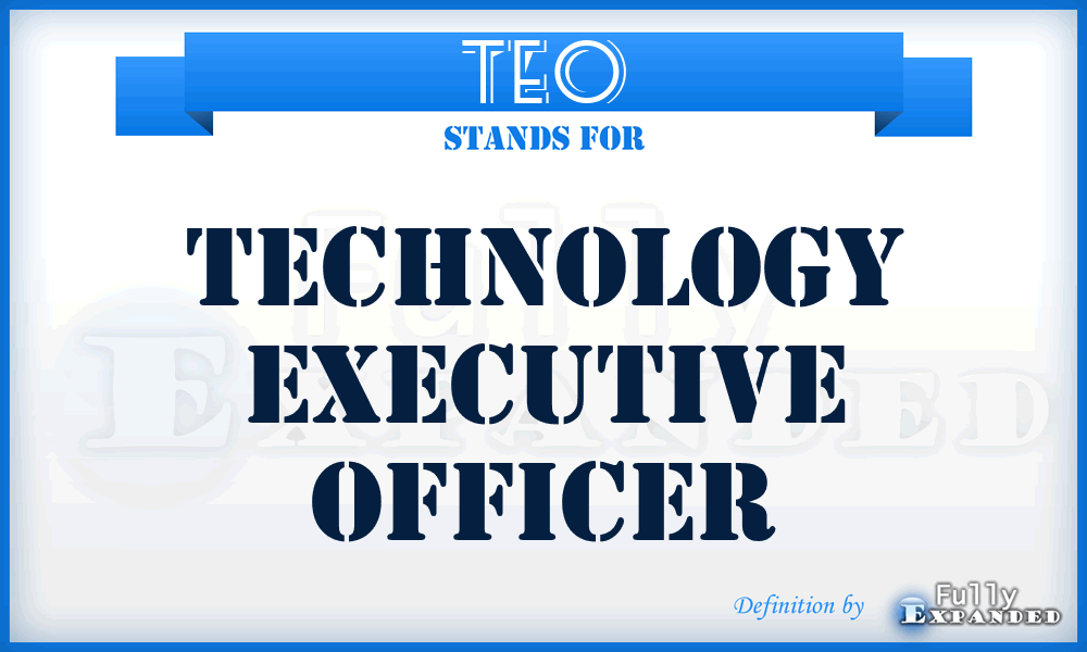 TEO - technology executive officer