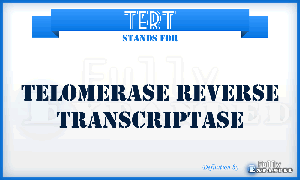 TERT - telomerase reverse transcriptase