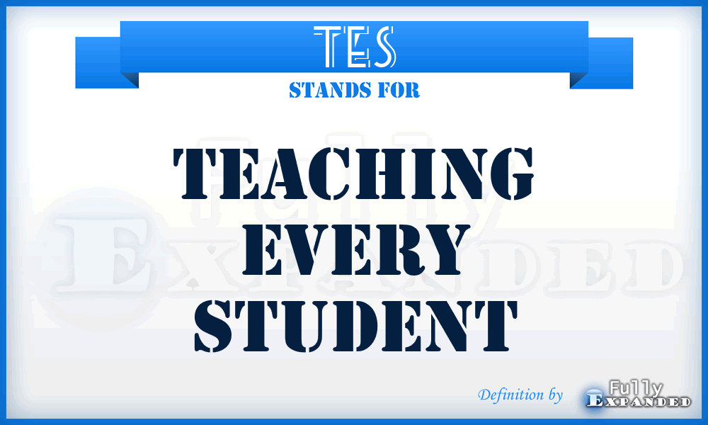 TES - Teaching Every Student