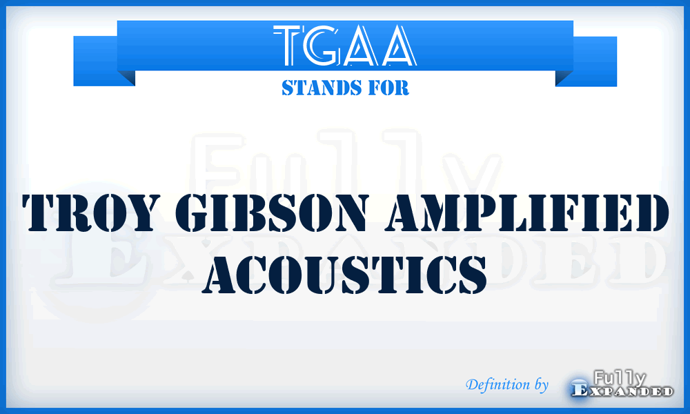 TGAA - Troy Gibson Amplified Acoustics