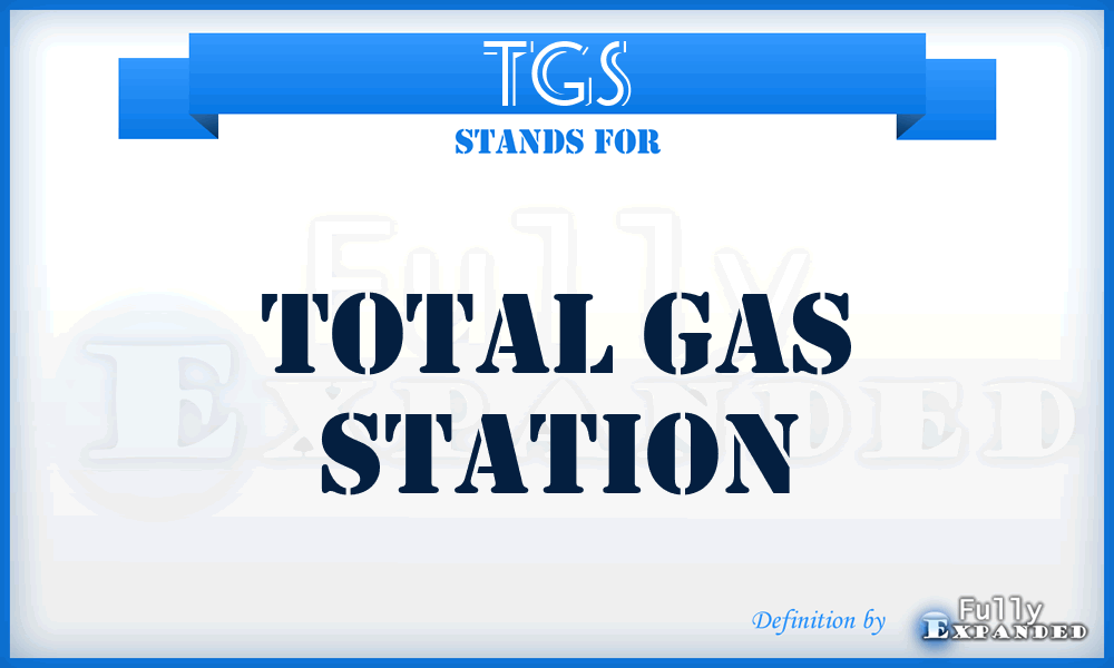 TGS - Total Gas Station