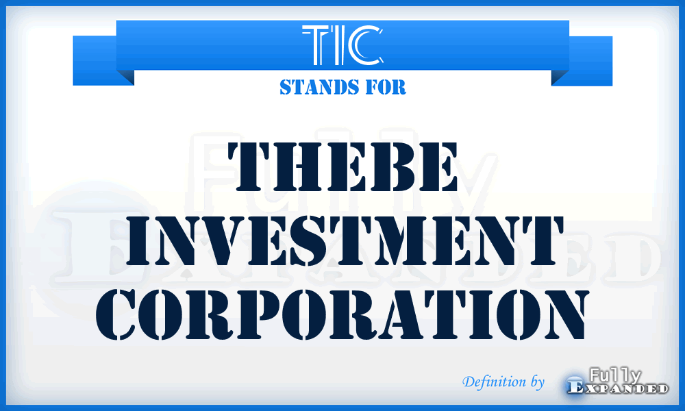 TIC - Thebe Investment Corporation