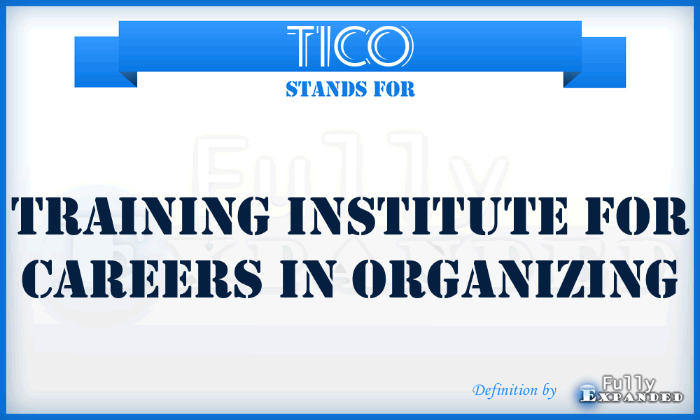 TICO - Training Institute for Careers in Organizing