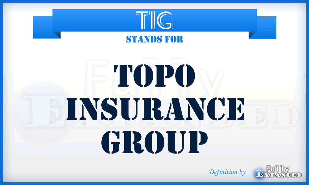 TIG - Topo Insurance Group