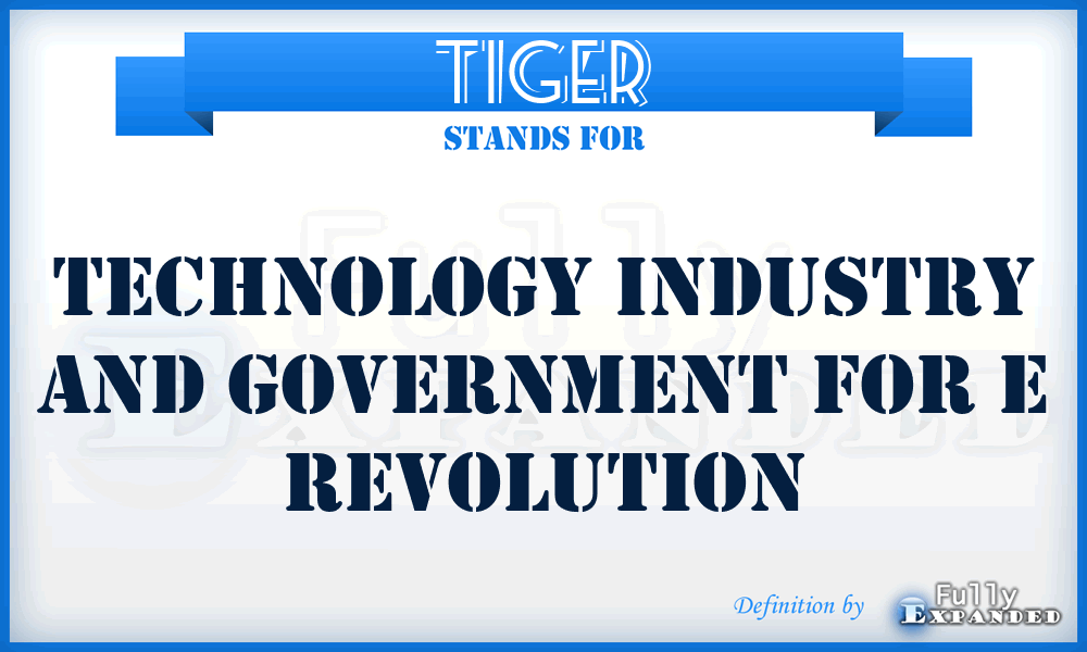 TIGER - Technology Industry And Government For E Revolution