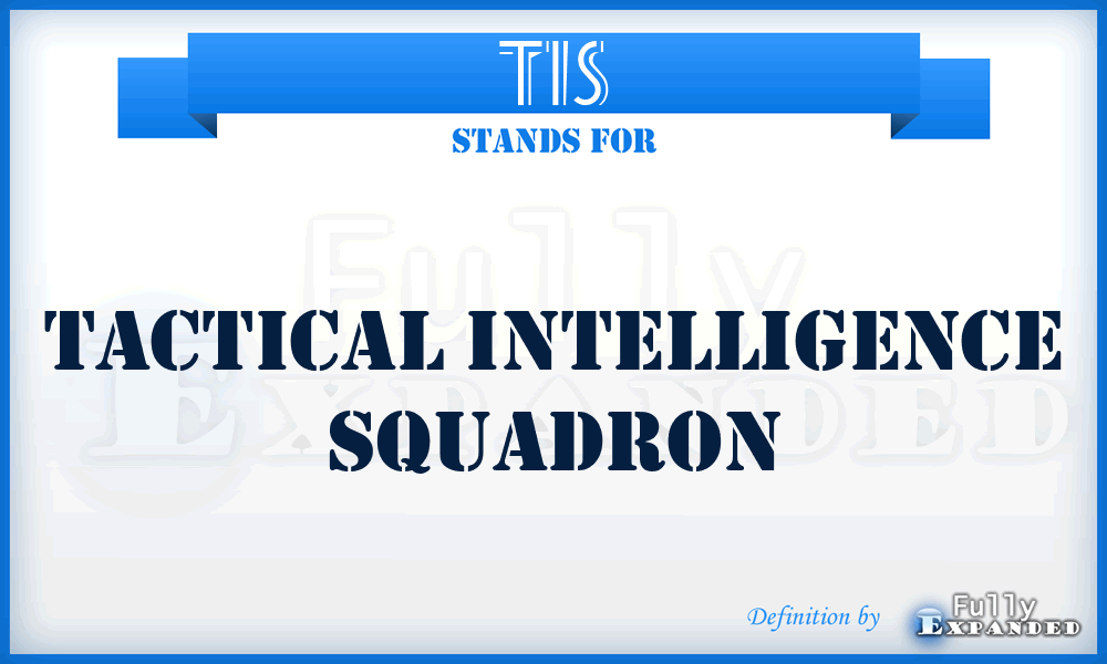 TIS - tactical intelligence squadron