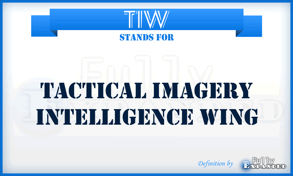 TIW - Tactical Imagery Intelligence Wing