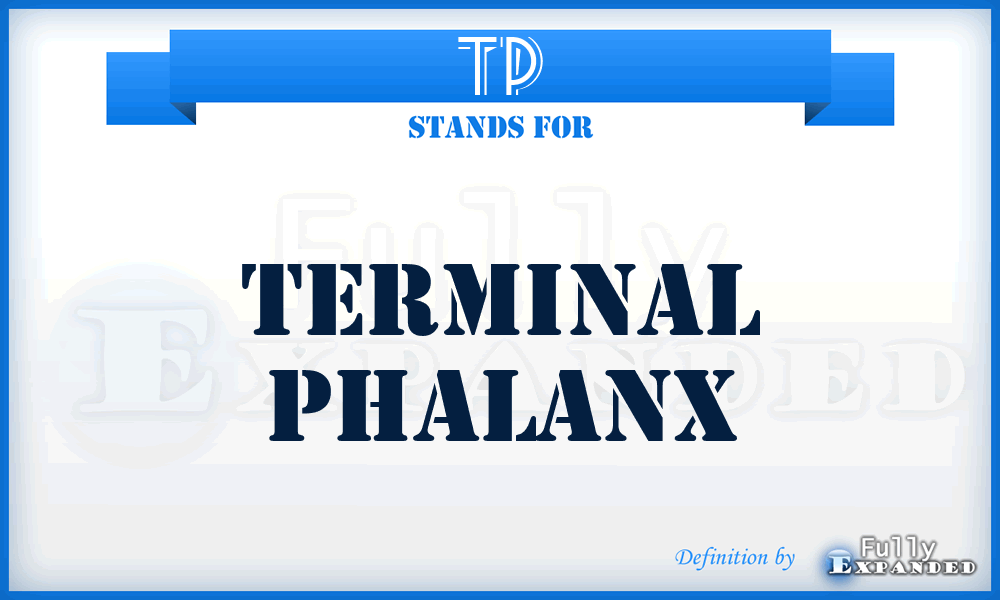 TP - terminal phalanx