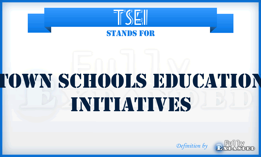 TSEI - Town Schools Education Initiatives