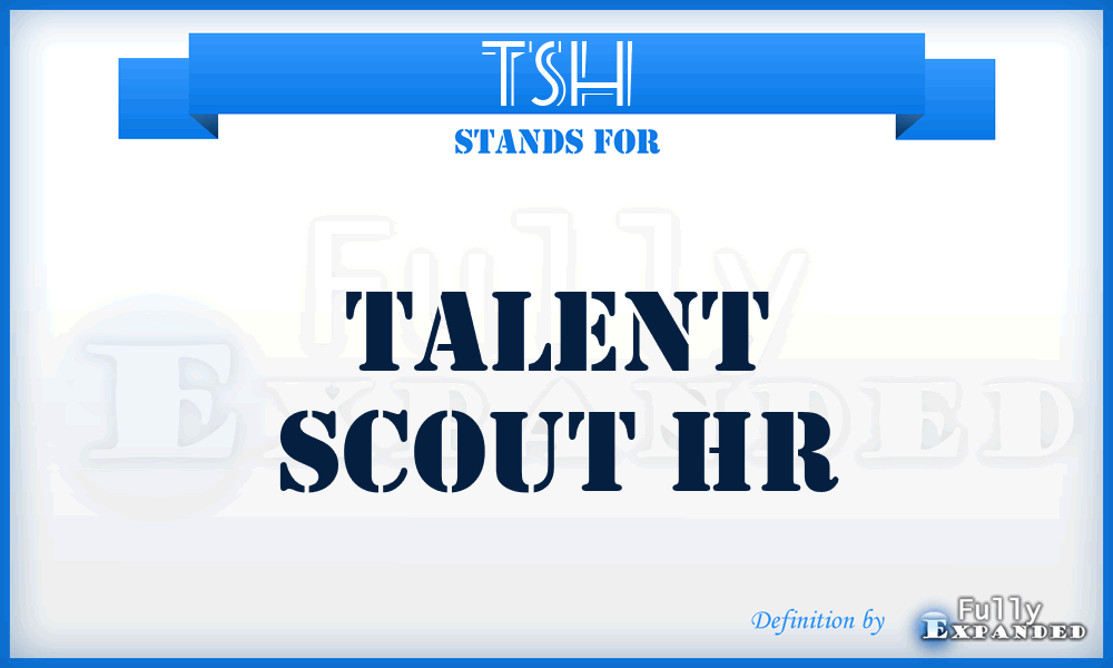 TSH - Talent Scout Hr