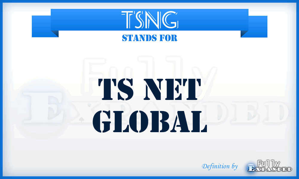 TSNG - TS Net Global