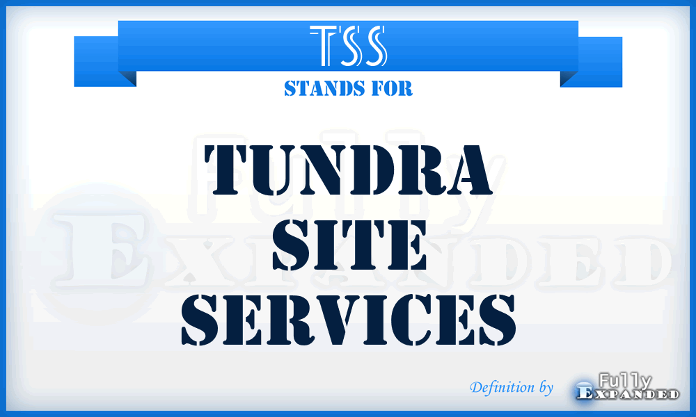 TSS - Tundra Site Services