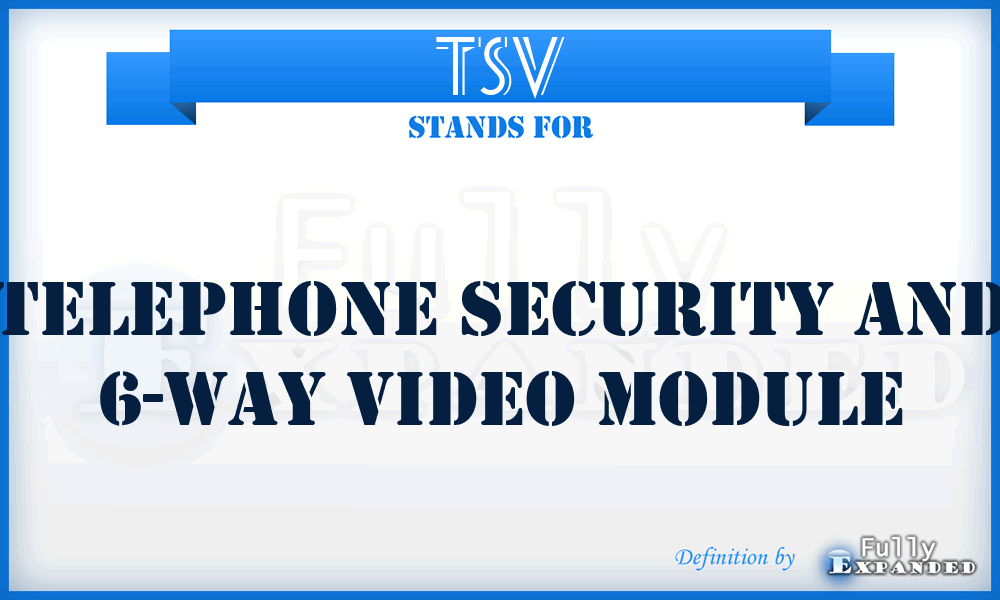 TSV - Telephone Security and 6-Way Video Module
