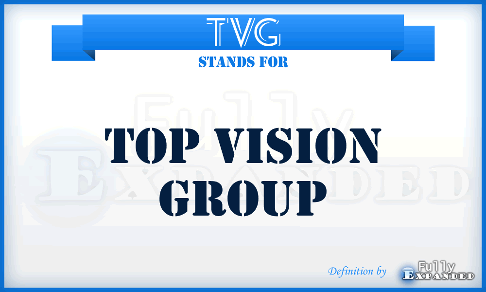 TVG - Top Vision Group