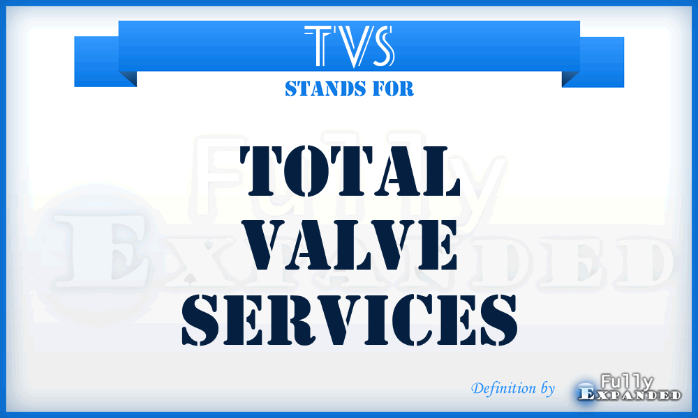 TVS - Total Valve Services