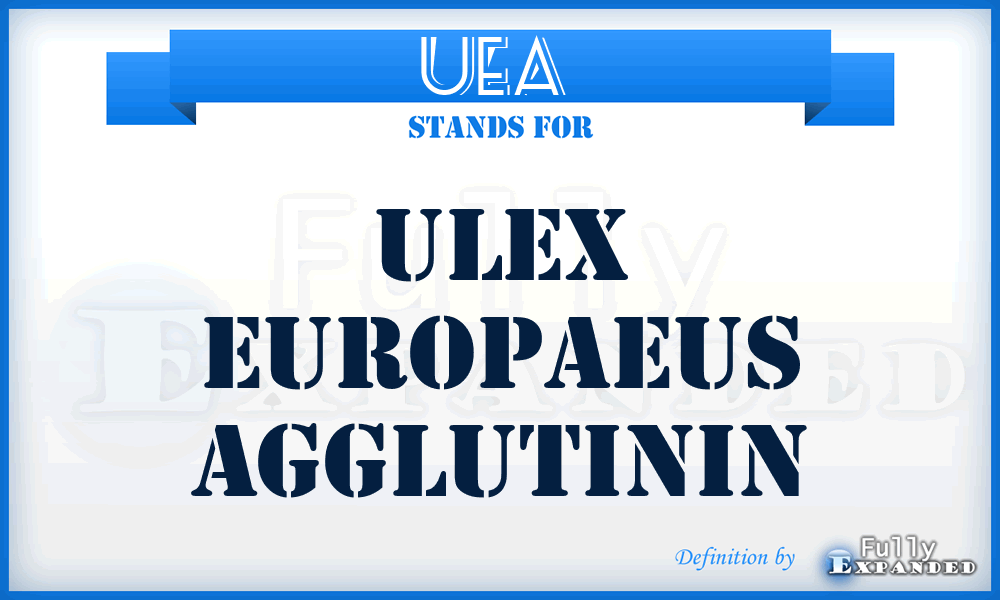 UEA  - Ulex europaeus agglutinin
