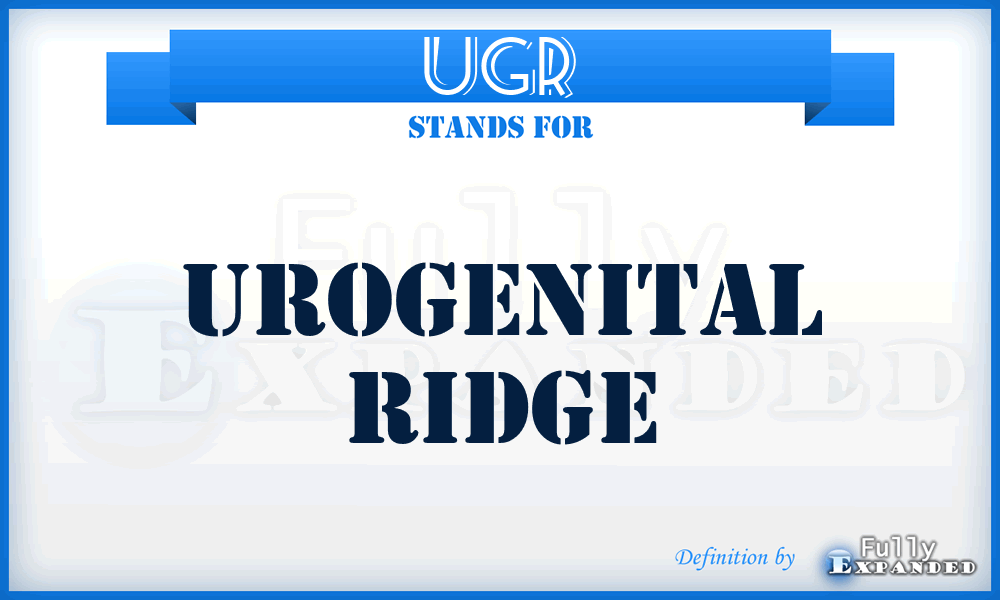 UGR - UroGenital Ridge