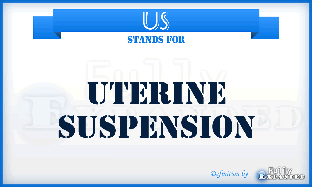 US - Uterine Suspension