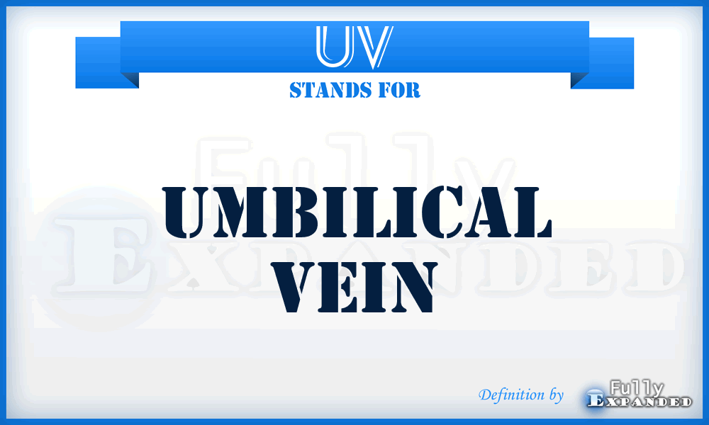 UV - umbilical vein
