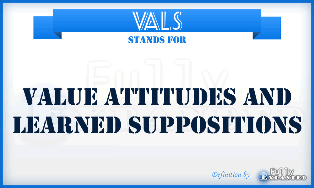 VALS - Value Attitudes And Learned Suppositions