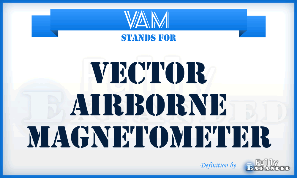 VAM  - vector airborne magnetometer