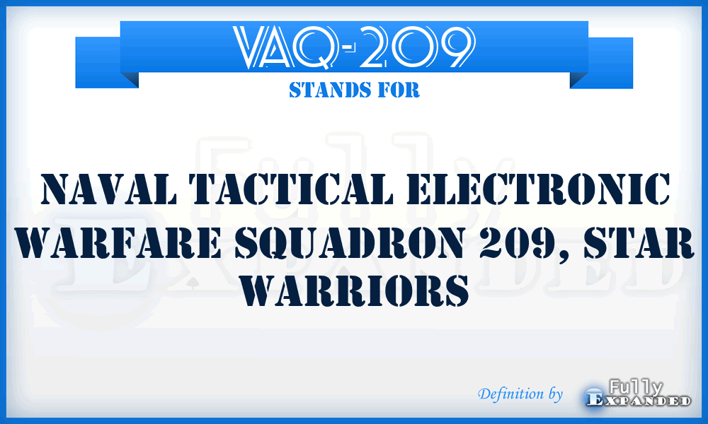 VAQ-209 - Naval Tactical Electronic Warfare Squadron 209, Star Warriors