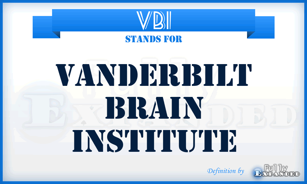 VBI - Vanderbilt Brain Institute