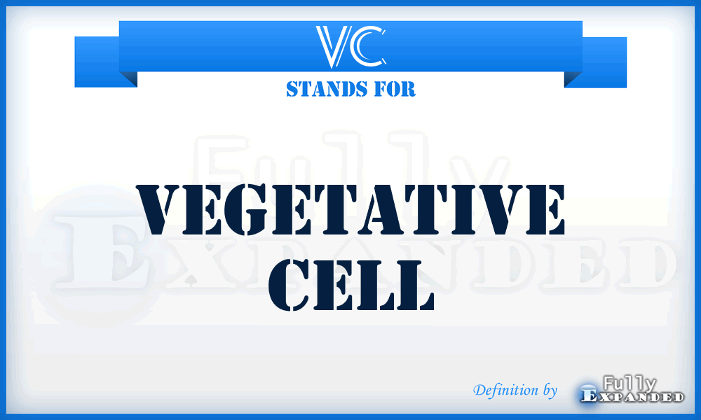 VC - vegetative cell