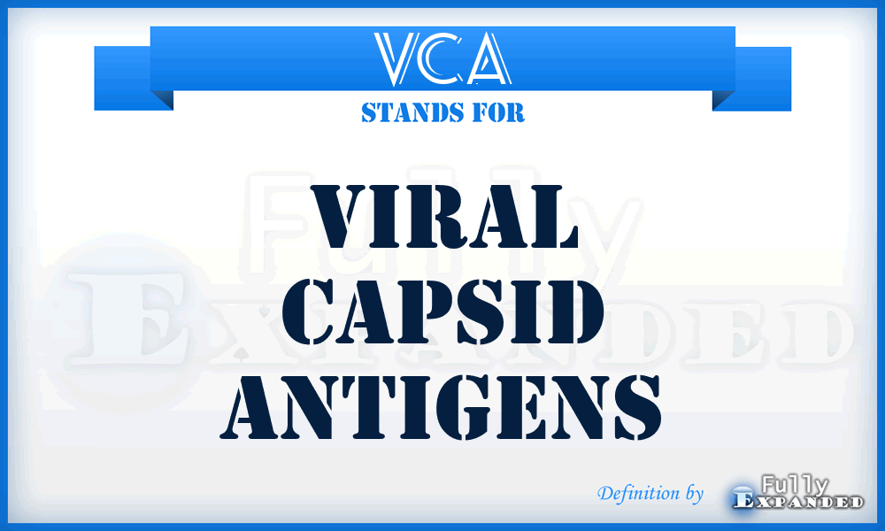 VCA - Viral Capsid Antigens