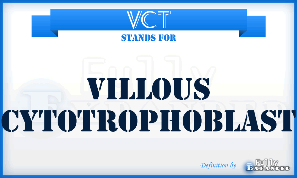 VCT - villous cytotrophoblast